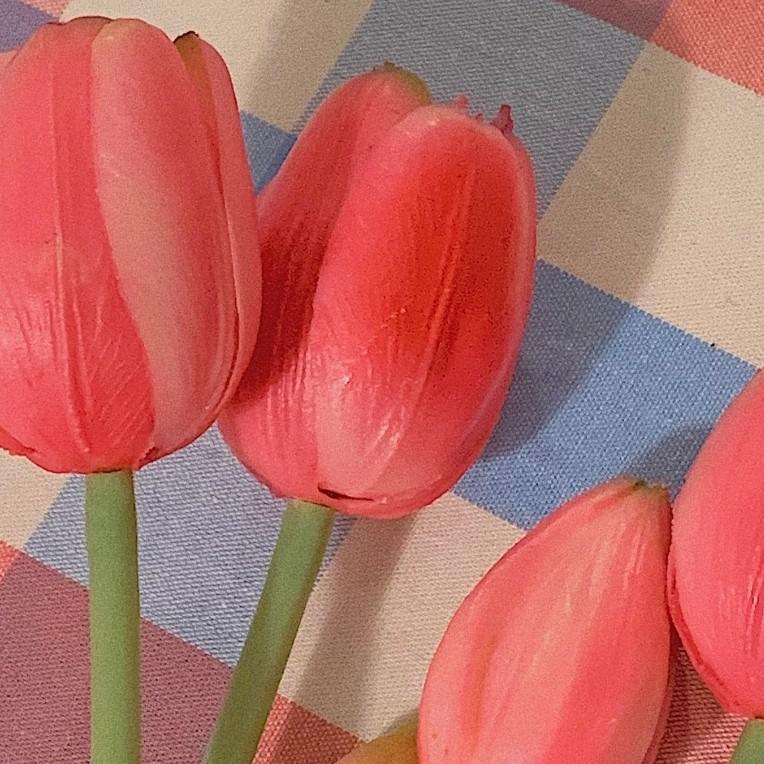 재뉴어리 프로필