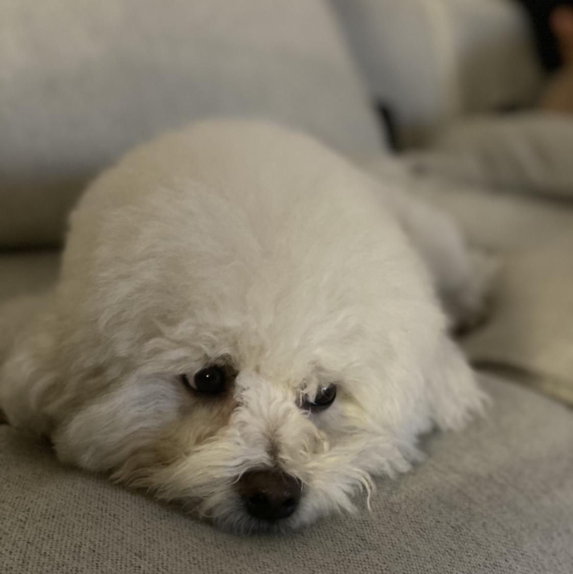 리뷰어 프로필