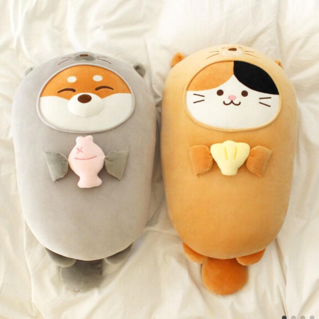 아비요뜨 프로필