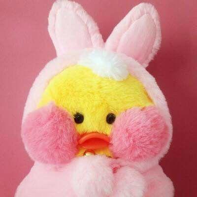 빵빵덕와또 프로필