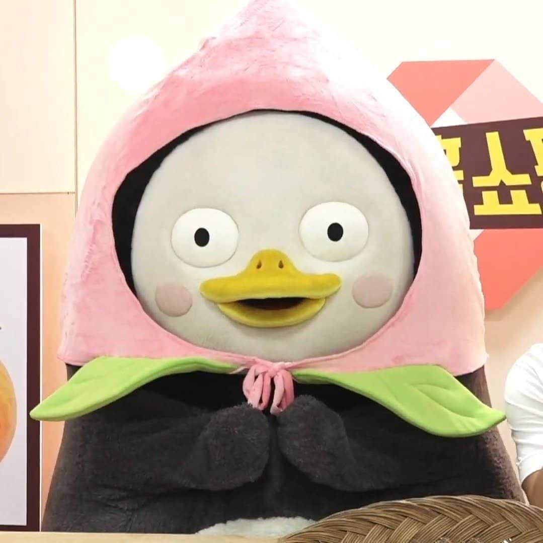 여리또리 프로필