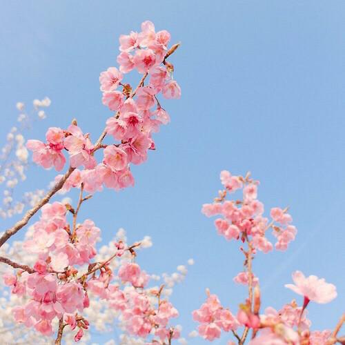 리뷰어 프로필