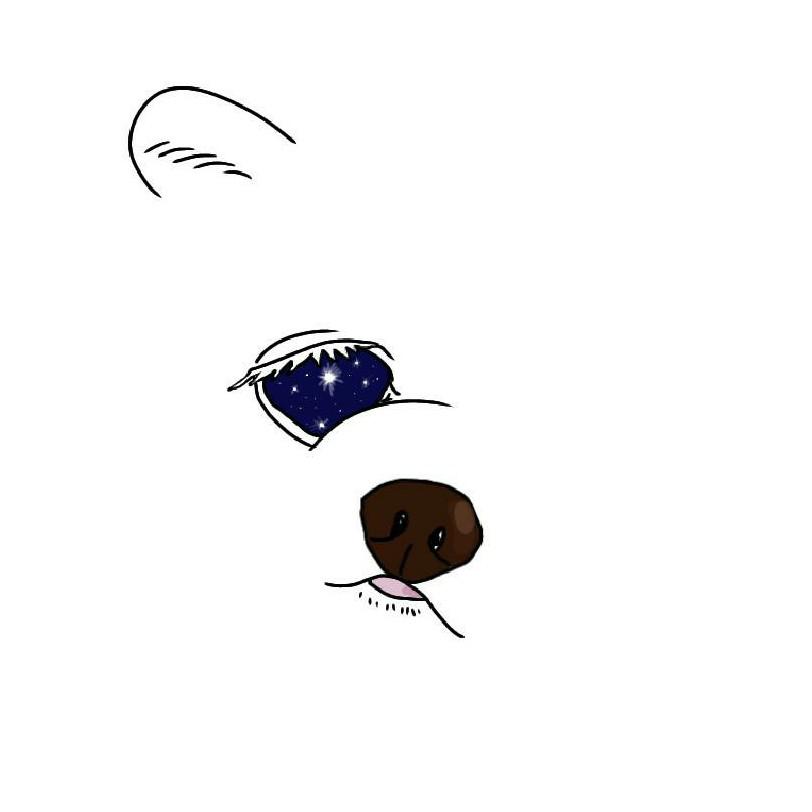 테디토라 프로필