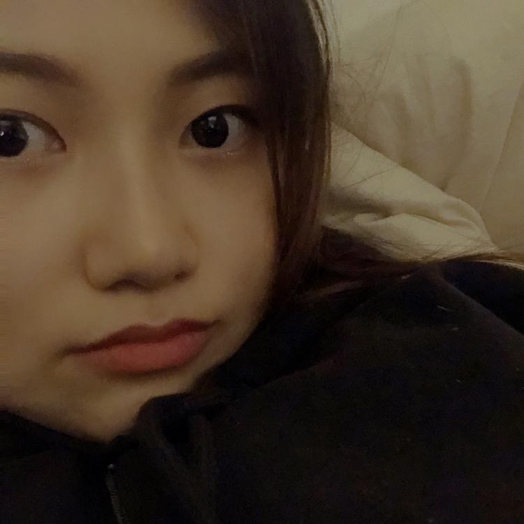 응응지지 프로필