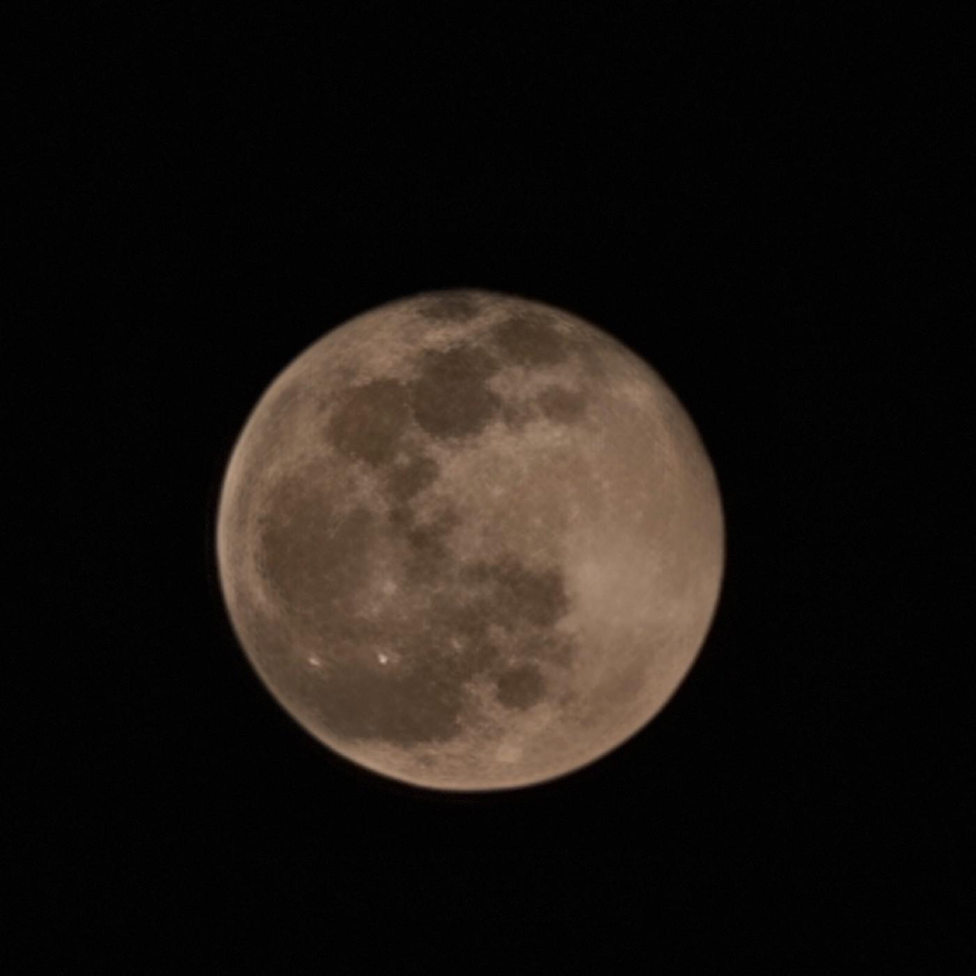 MINTMOON 프로필