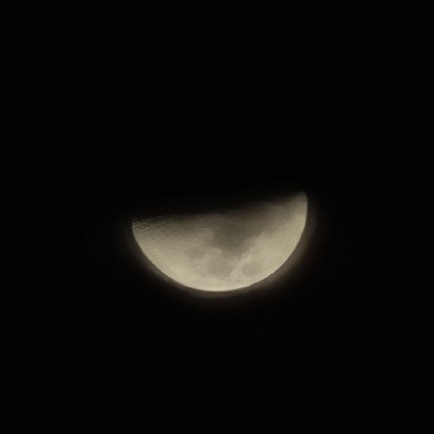 바이올렛현 프로필