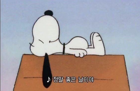리뷰어 프로필