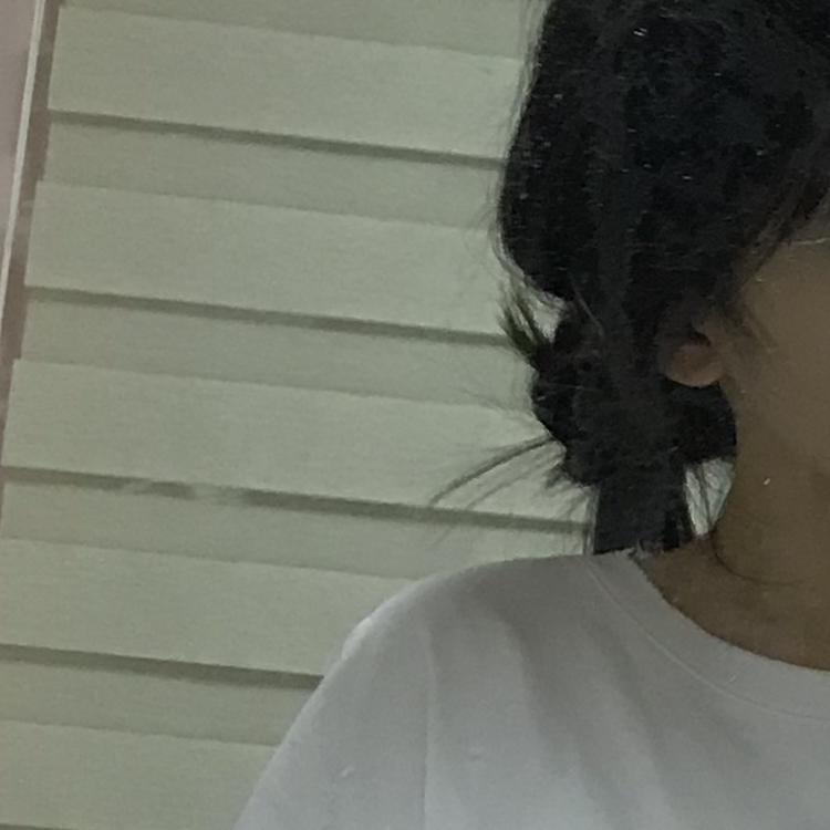 달걀팔이 프로필