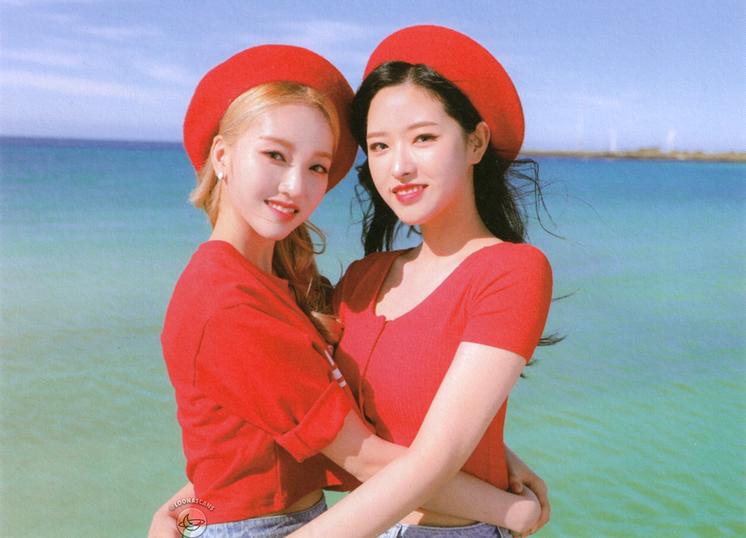 박고원처돌이 프로필