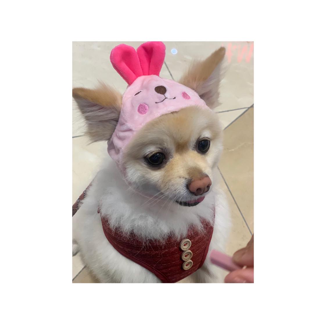 별사탕톡톡 프로필