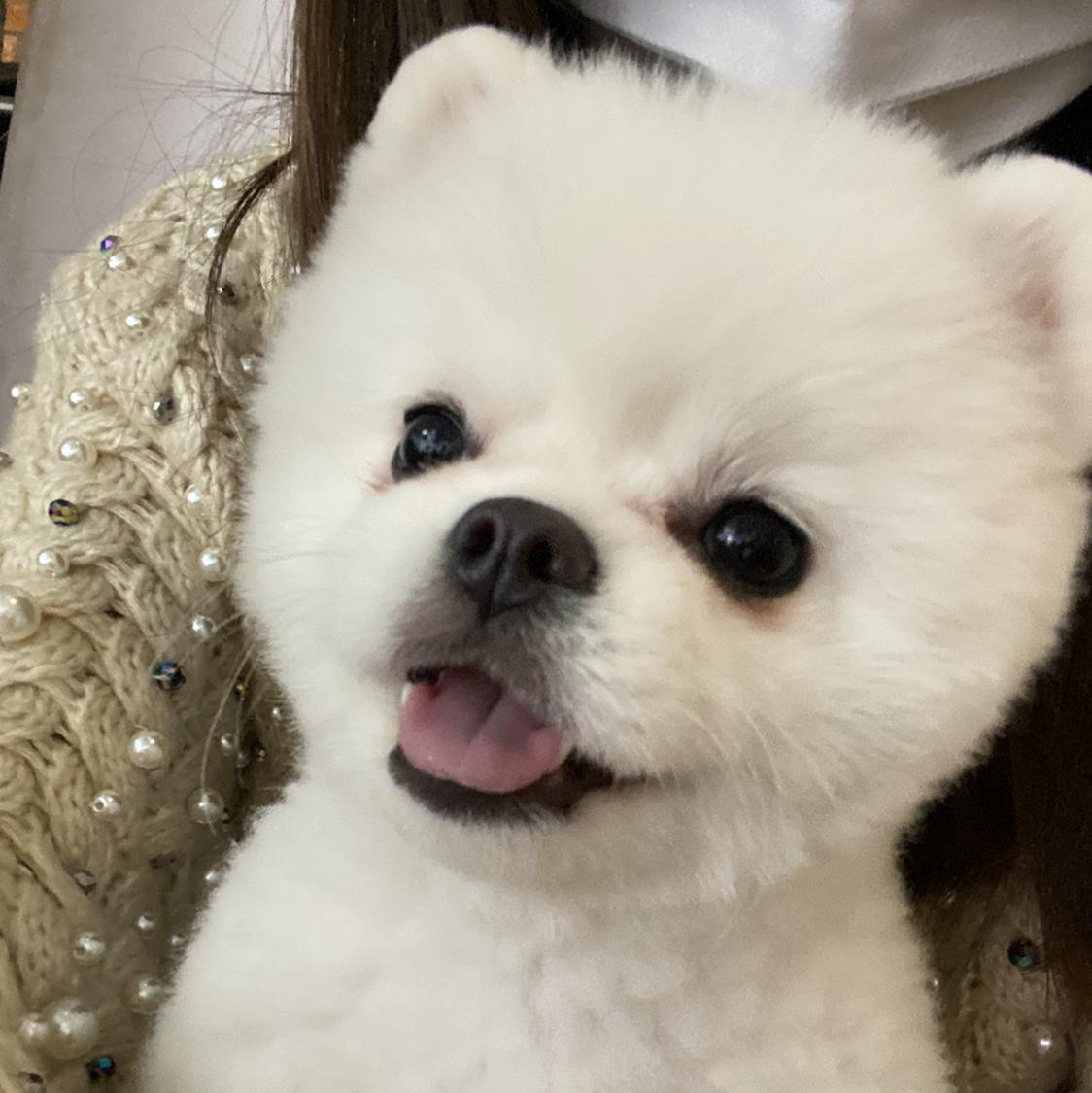 메이크업하는언니 프로필