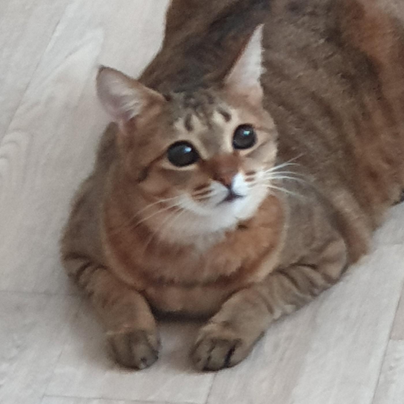 리뷰어 프로필