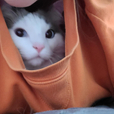 오즈야