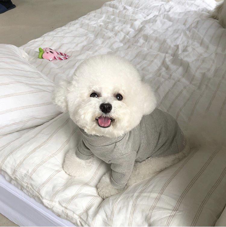 Seul 프로필
