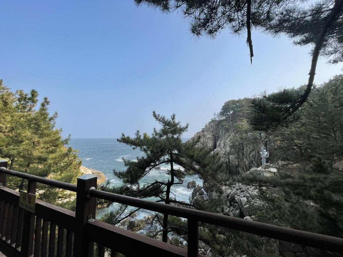 름공이 프로필