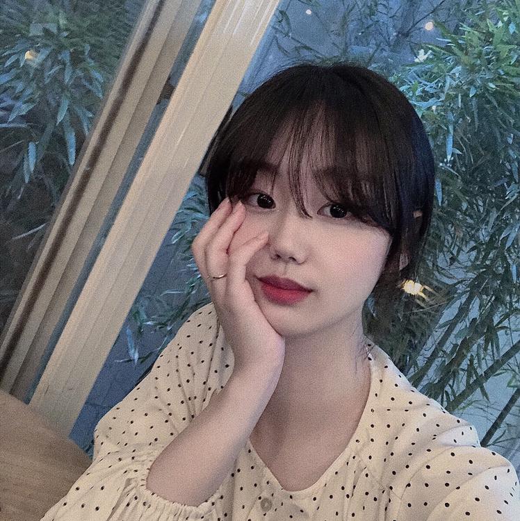 시현쁘 프로필