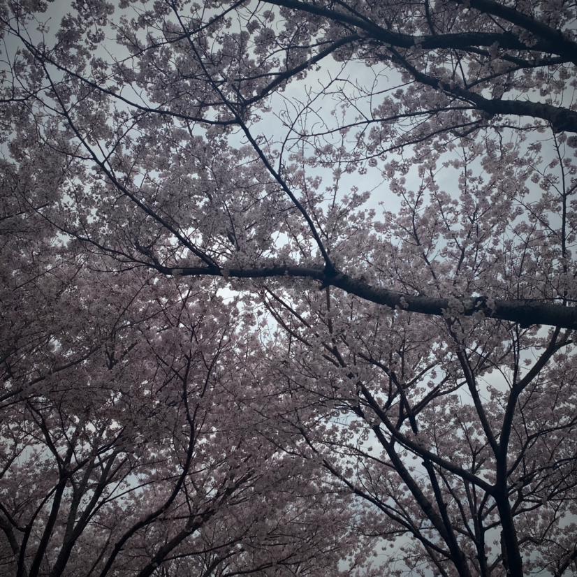 글로리#ADbnmW 프로필