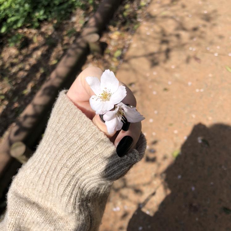 메리크 프로필