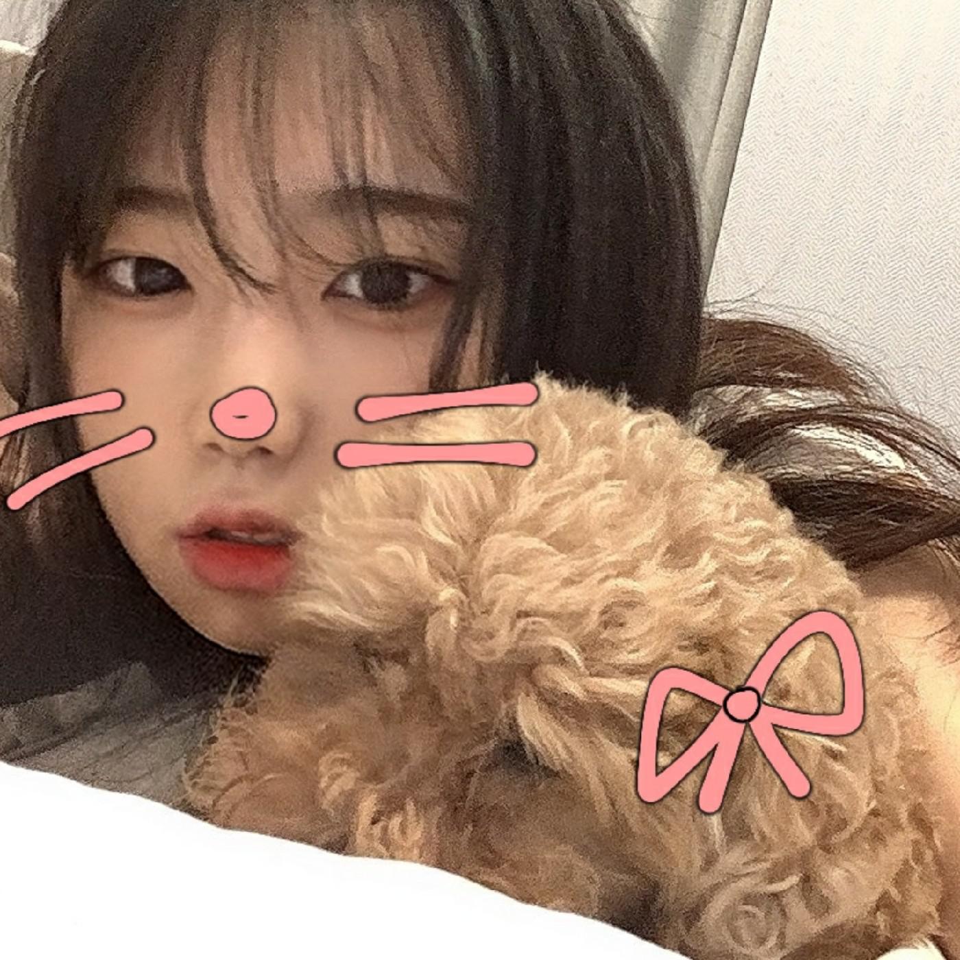 채여니잉 프로필