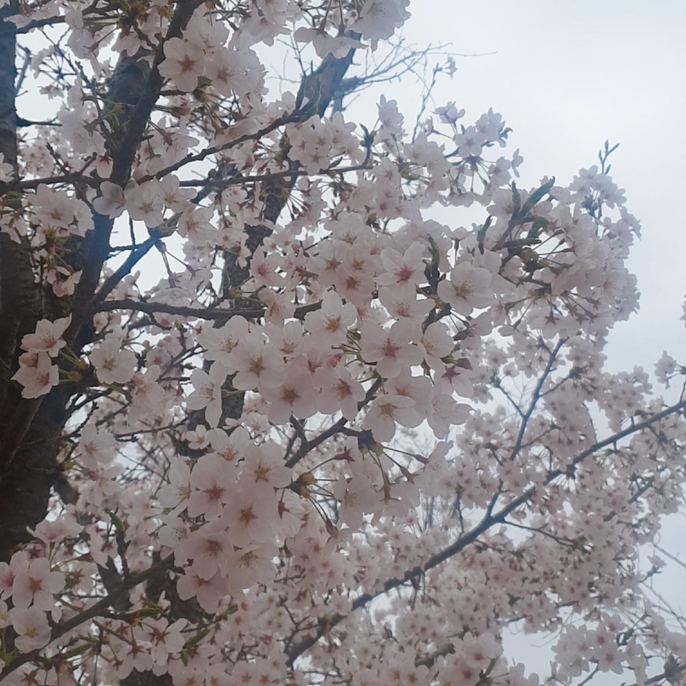 리뷰어 프로필