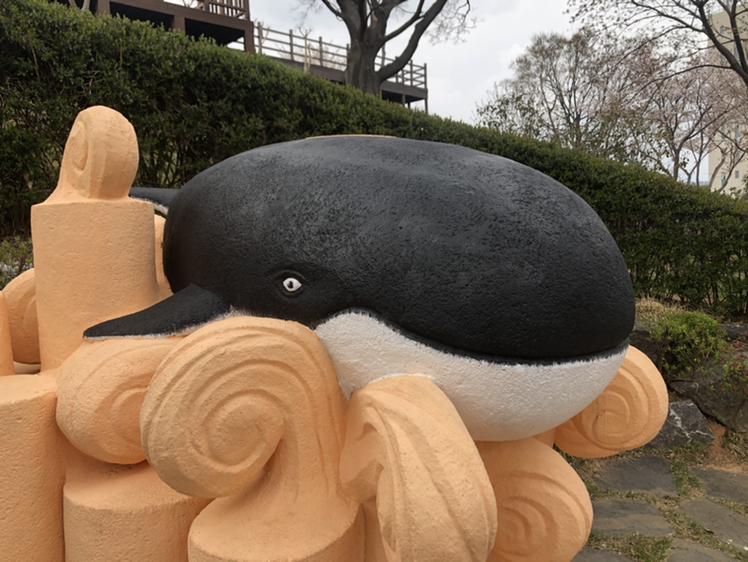 범범미 프로필