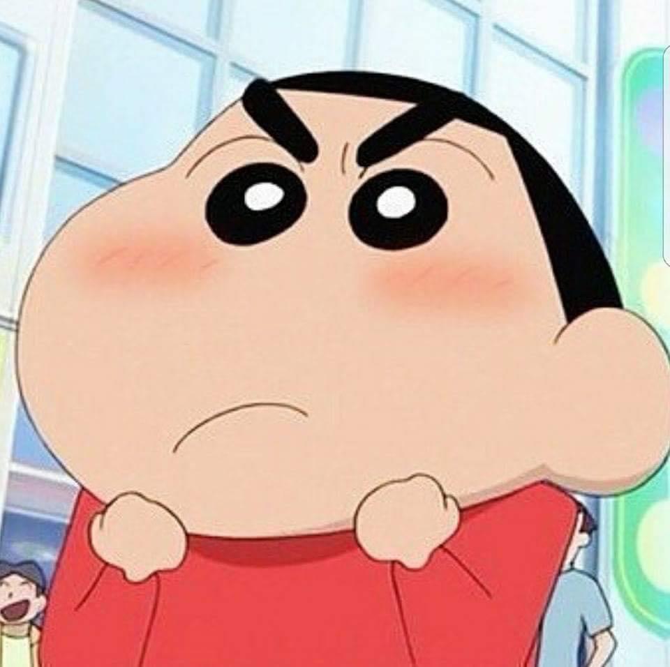 채도리탕 프로필