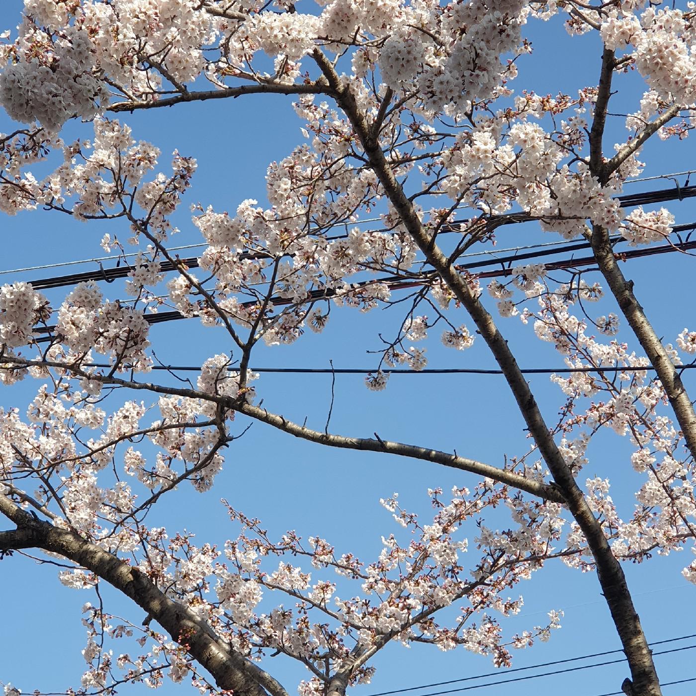 건쁘밍 프로필