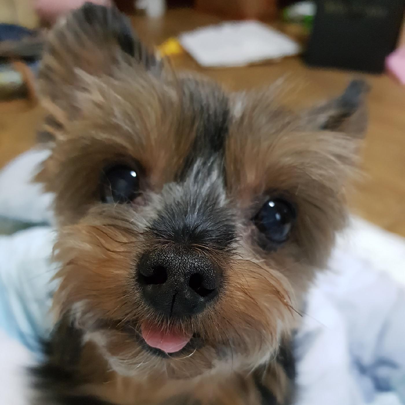민정cho 프로필