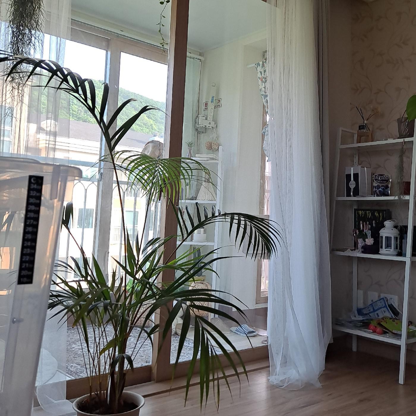 bongu3 프로필