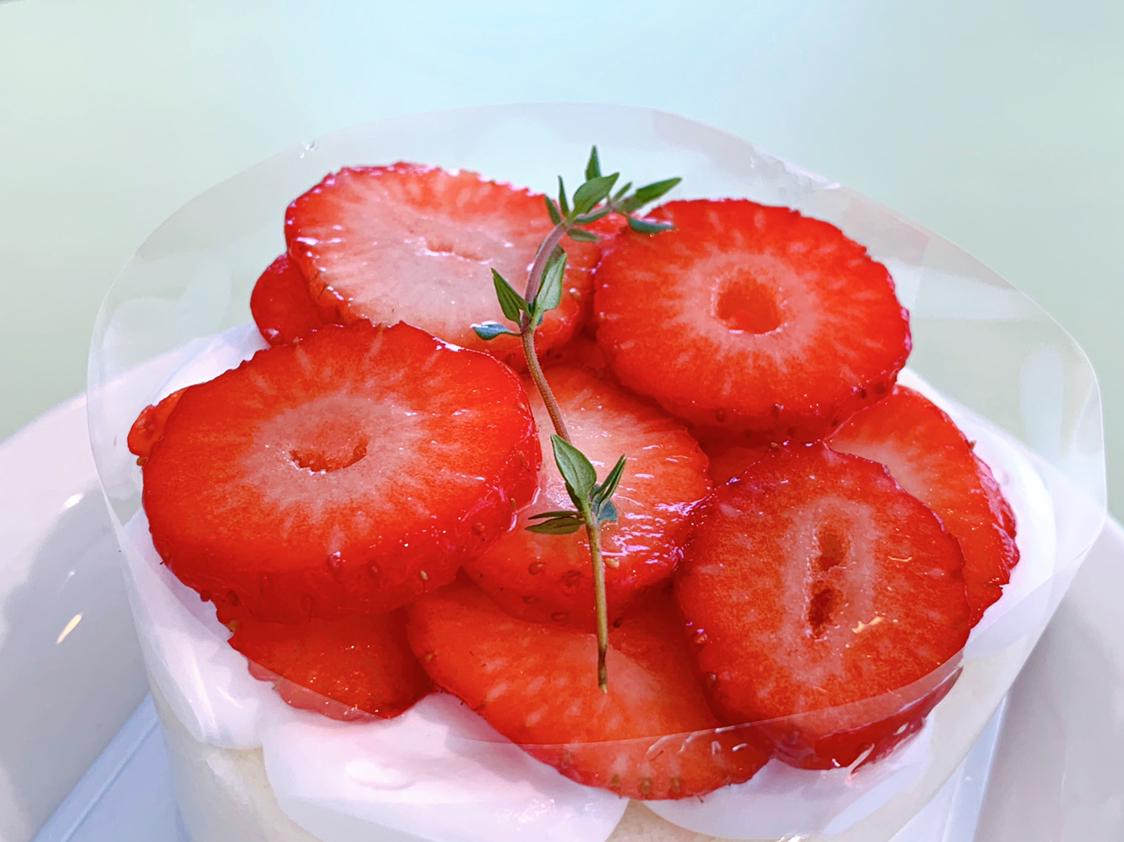 슈링쓰 프로필