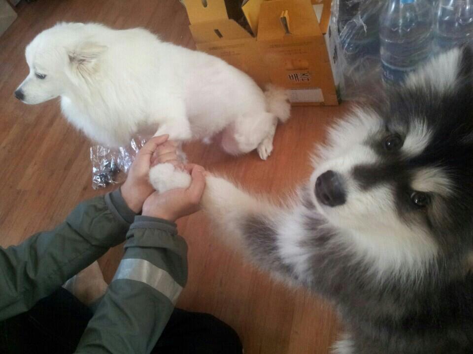 제리람 프로필