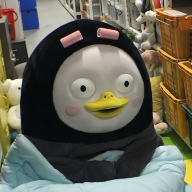 싱두두 프로필