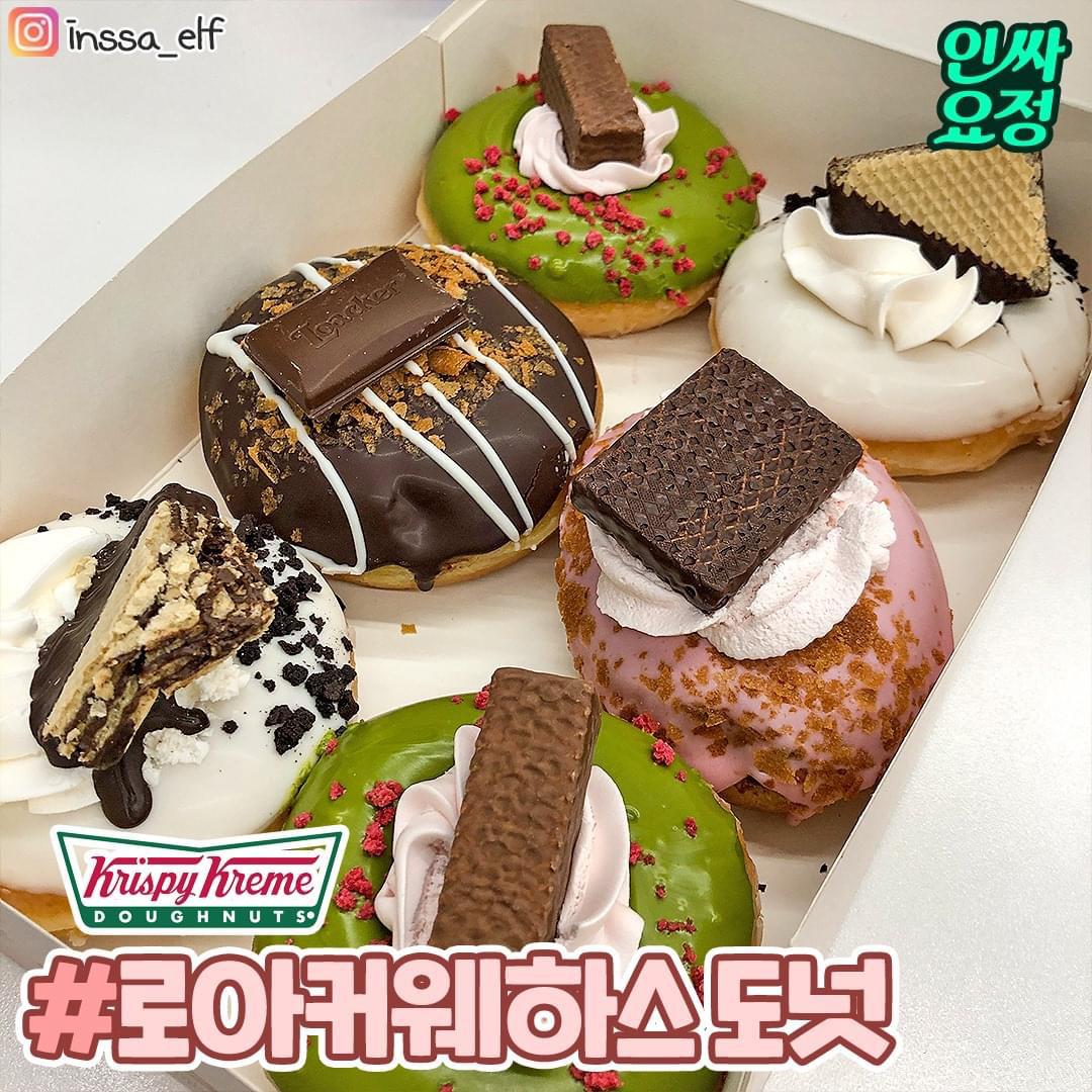 차예공 프로필