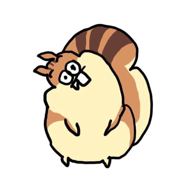 haily3 프로필