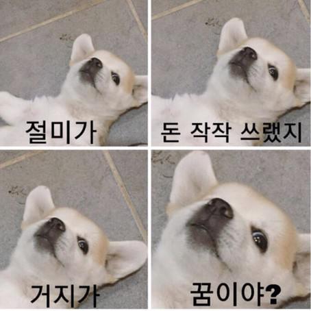 KatieJ 프로필