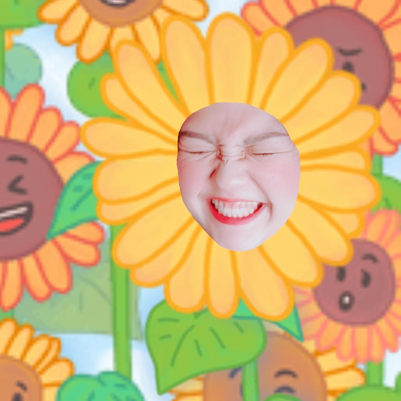 뜌류뜝뚭뜝 프로필