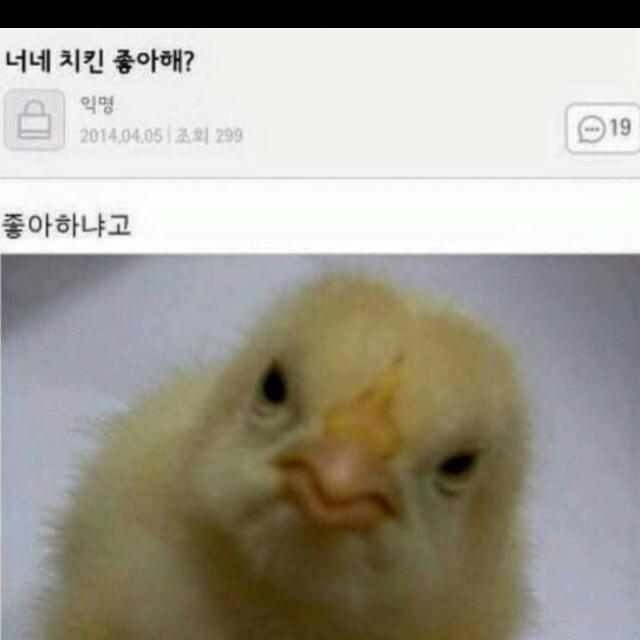 듕이 프로필