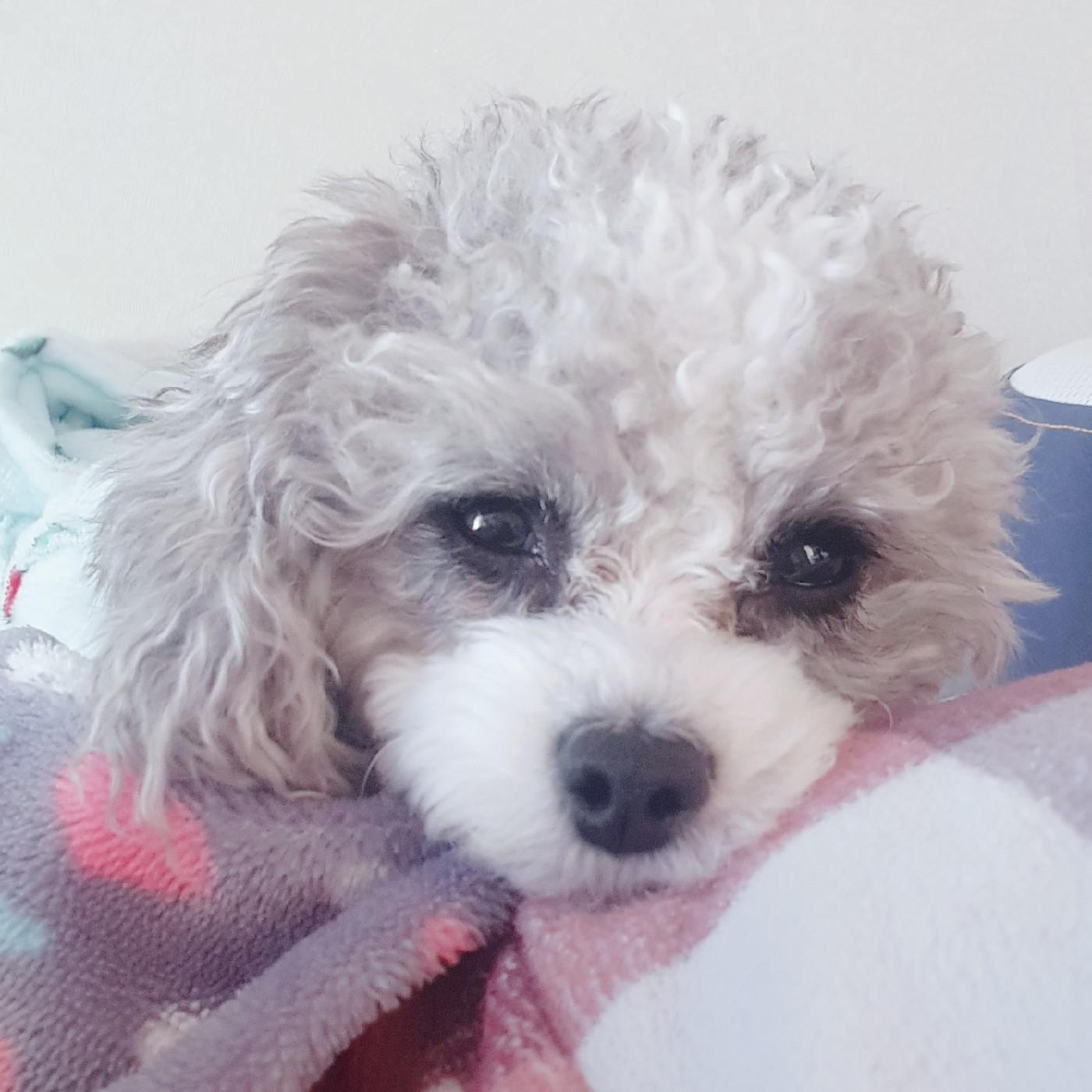 리뷰어 프로필
