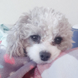 신디맘