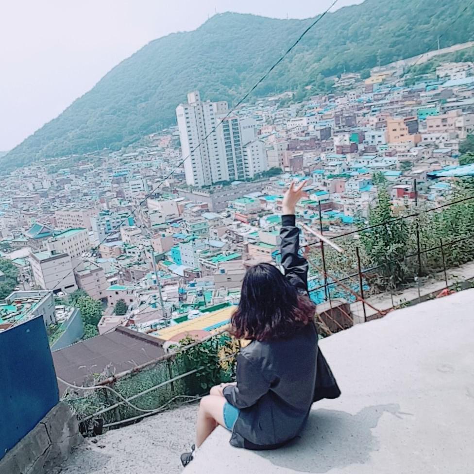 신사을 프로필