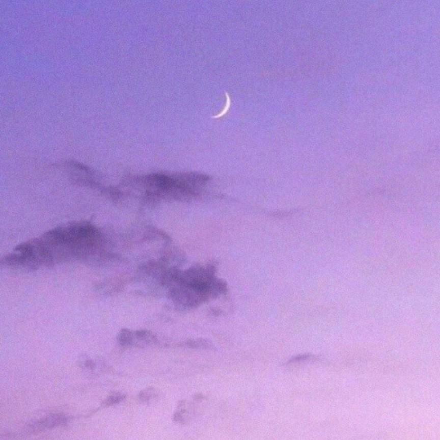 오디오디 프로필