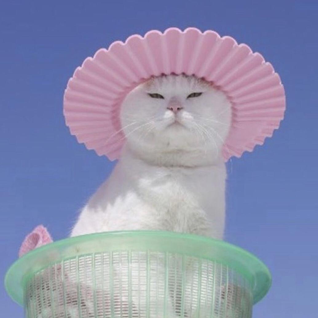 리뷰어 프로필