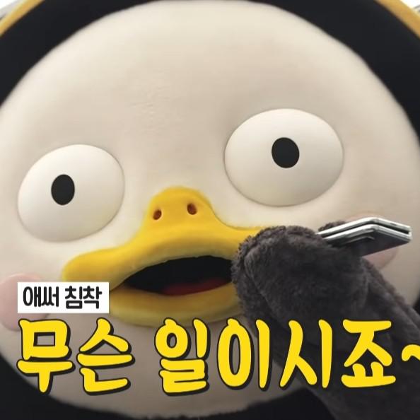 채채으 프로필