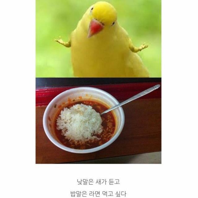 인표꺼 프로필