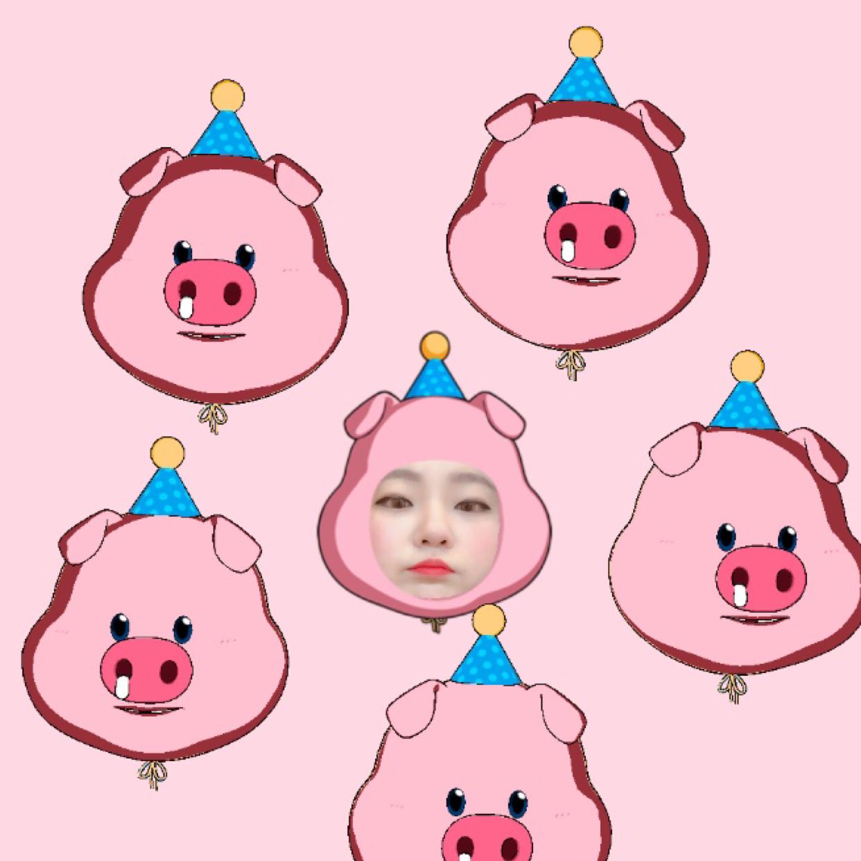 응디응지 프로필