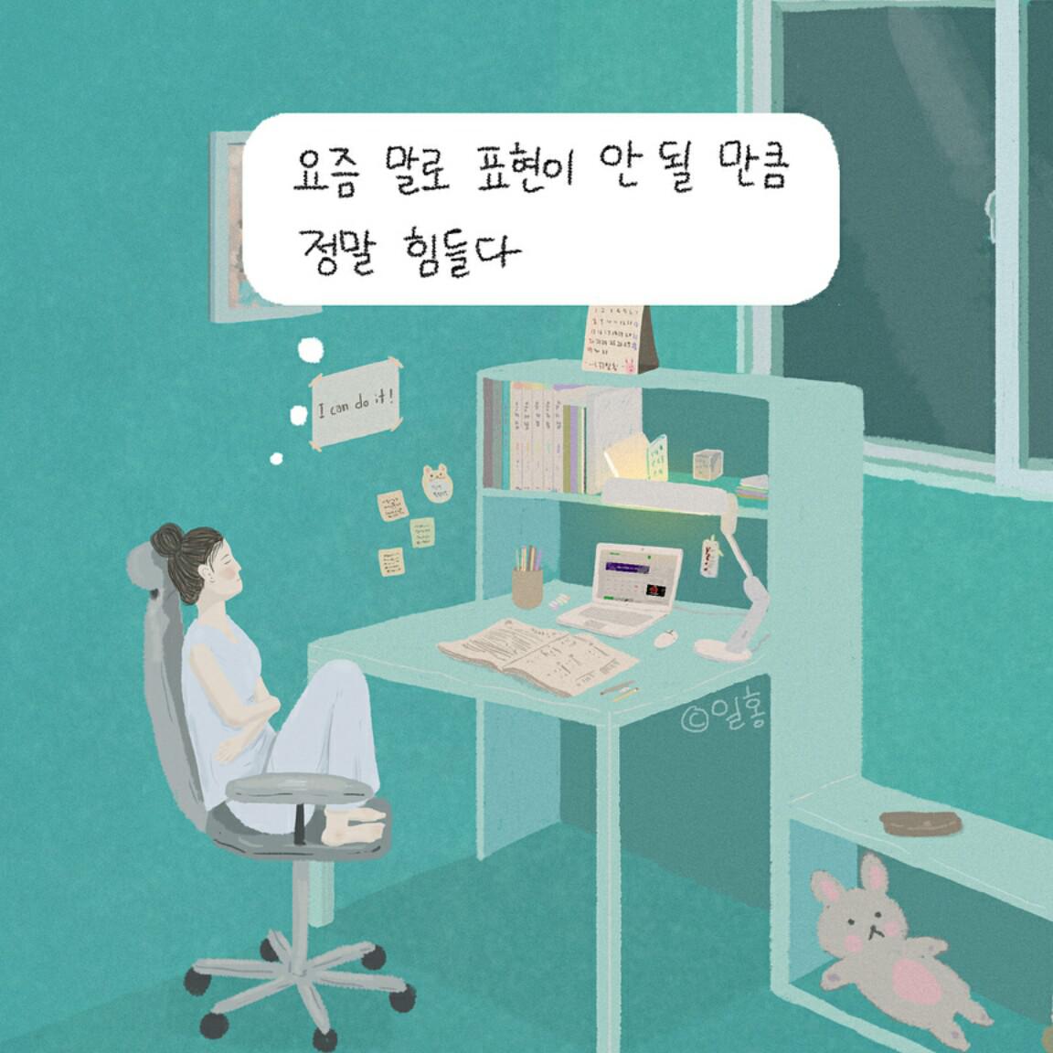 후녁쓰 프로필
