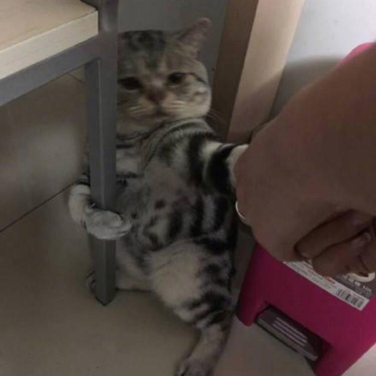 틑 프로필