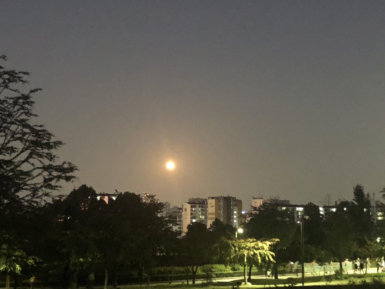루프렐 프로필