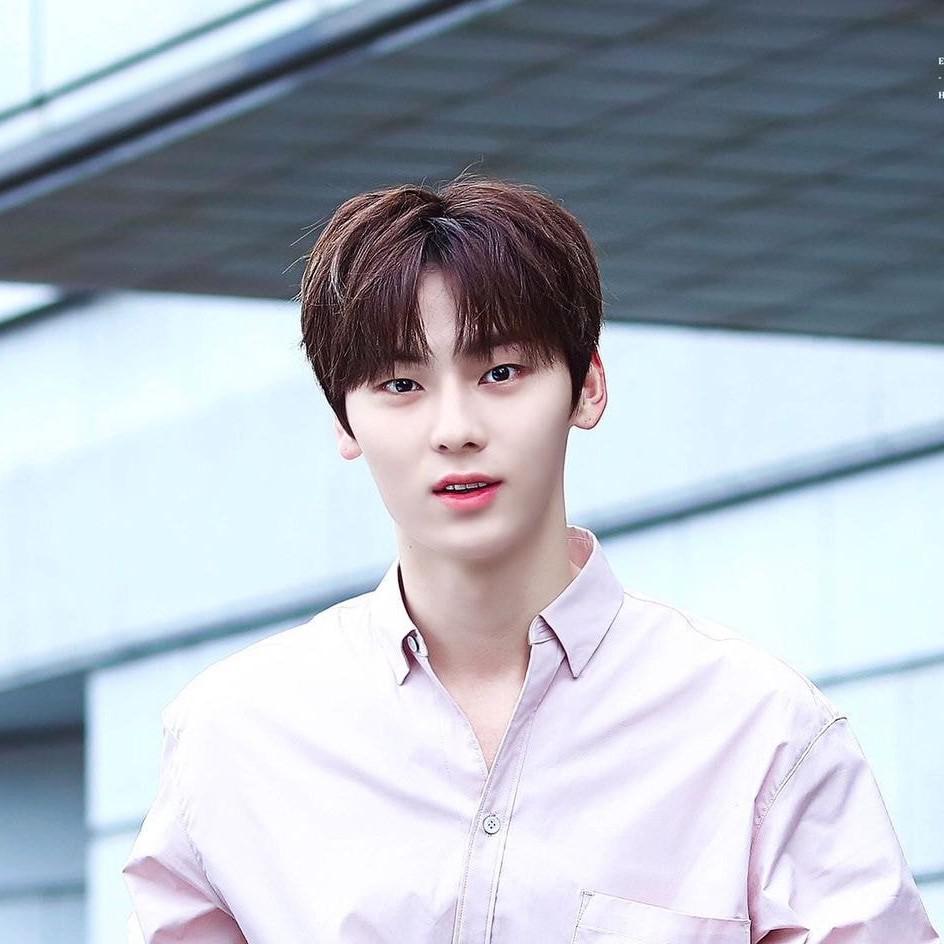 행복한돼지 프로필