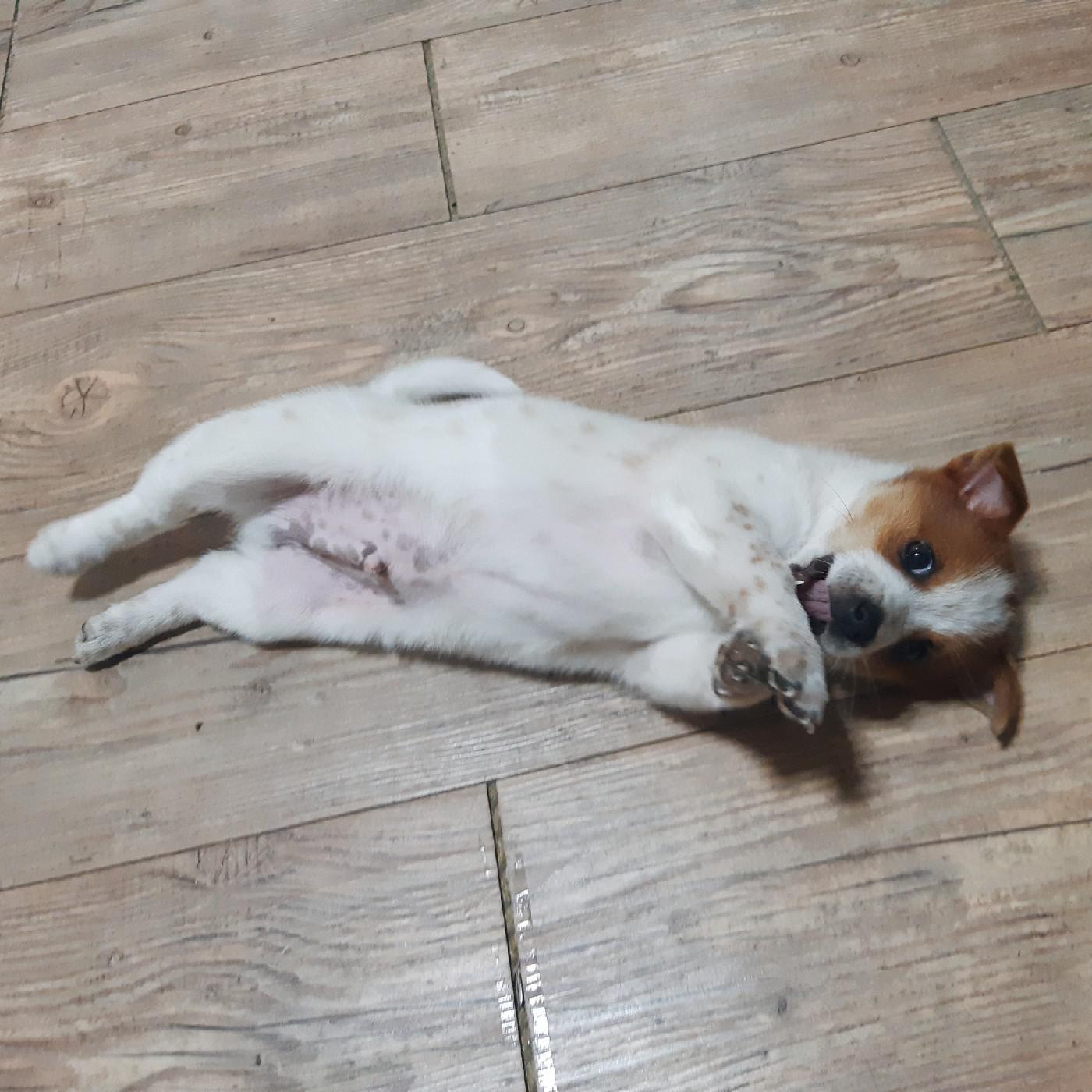 김달봉 프로필